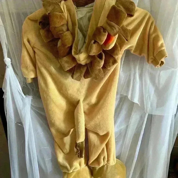 Wizard of Oz Childs Lion Costume. 2-3year old. Preowned. Foot Straps. - Picture 2 of 5